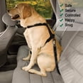 thumbnail image 4 of 2 cinturones de seguridad multiusos para perros, ajustables y resistentes, a prueba de desgarros, collar de 70 x 2,5 cm, aptos para todos los perros y gatos, nailon negro., 4 of 5