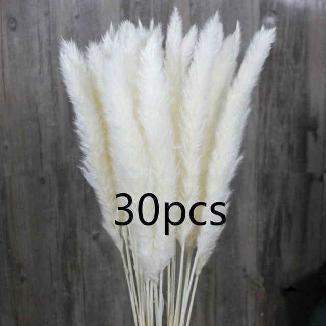 Hierba de pampa, hierba de pampa natural, hierba de pampa seca, fragmitas, ramo de flores secas, decoración para el hogar Ormromra LN-0724
