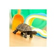 thumbnail image 2 of Safari Ltd. Tortoise Baby Figurine - Lifelike 5.5" Model Figure - Educational Toy for Boys, Girls, and Kids Ages 18M+, 2 of 6