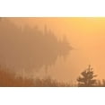 thumbnail image 2 of Jaynes Gallery 32x23 White Modern Wood Framed Museum Art Print Titled - Canada-Manitoba-Whiteshell Provincial Park-Trees and fog at sunrise at Lyons Lake, 2 of 4