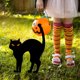 thumbnail image 5 of Adorno de Jardín de Hierro Forjado para Halloween | Set de 4 Gatos de Diferentes Estilos | Material Acrílico Resistente | Resistente a La Intemperie | Tamaño: 24 Cm | Incluye Taco para Enterrar, 5 of 5