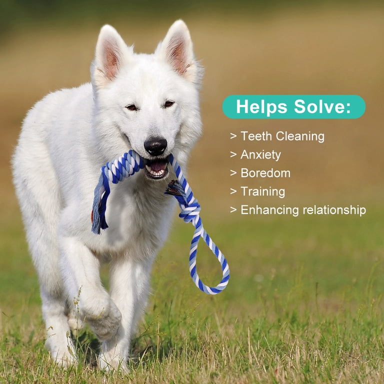 Plutus Pet Cotton Rope Chew Toys, 8-Pack for Dogs photo 6