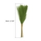 thumbnail image 2 of Uxcell 15Pcs  Pampas Grass,21" Fake Pampas Grass for Wedding Decoration,Grass green, 2 of 7