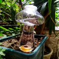 thumbnail image 3 of 2 piezas de botella de riego cónica de 500 ml, bola de arcilla para plantas de interior, sistemas de riego automático para macetas, dispensador de agua para plantas de vacaciones, 3 of 5