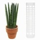 thumbnail image 1 of pstuiky Tutor de plástico para plantas Monstera, tutores para plantas trepadoras, soporte para plantas de interior para trabajar con musgo sphagnum, 1 of 6