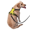 thumbnail image 3 of XMXY No Pull Dog Harness, Yellow Watermelon Cartoon Adjustable Reflective Pet Harness with Oxford Vest, Small Size, 3 of 9