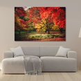 thumbnail image 1 of Cuadro Decorativo Paisaje Bosque Otoñal 143cm X 89cm Marco Madera, 1 of 6