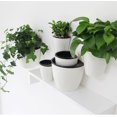 thumbnail image 1 of Limei Self Watering Wall Planter - Modern White Medium Size - Indoor Outdoor Vertical Flower Pot - Wall Mounted Window Hanging Pot - Water Storage Space Design Container, 1 of 7