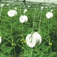 thumbnail image 3 of Ganchos de soporte de tomate de 6 uds. Ganchos de rodillo de enrejado con cordel de 15 m para planta de tomate, 3 of 5