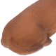 thumbnail image 3 of Milisten De Perro Salchicha En Resina Con Detalles Realistas Para Adorno De Escritorio Y Estantería, 3 of 6