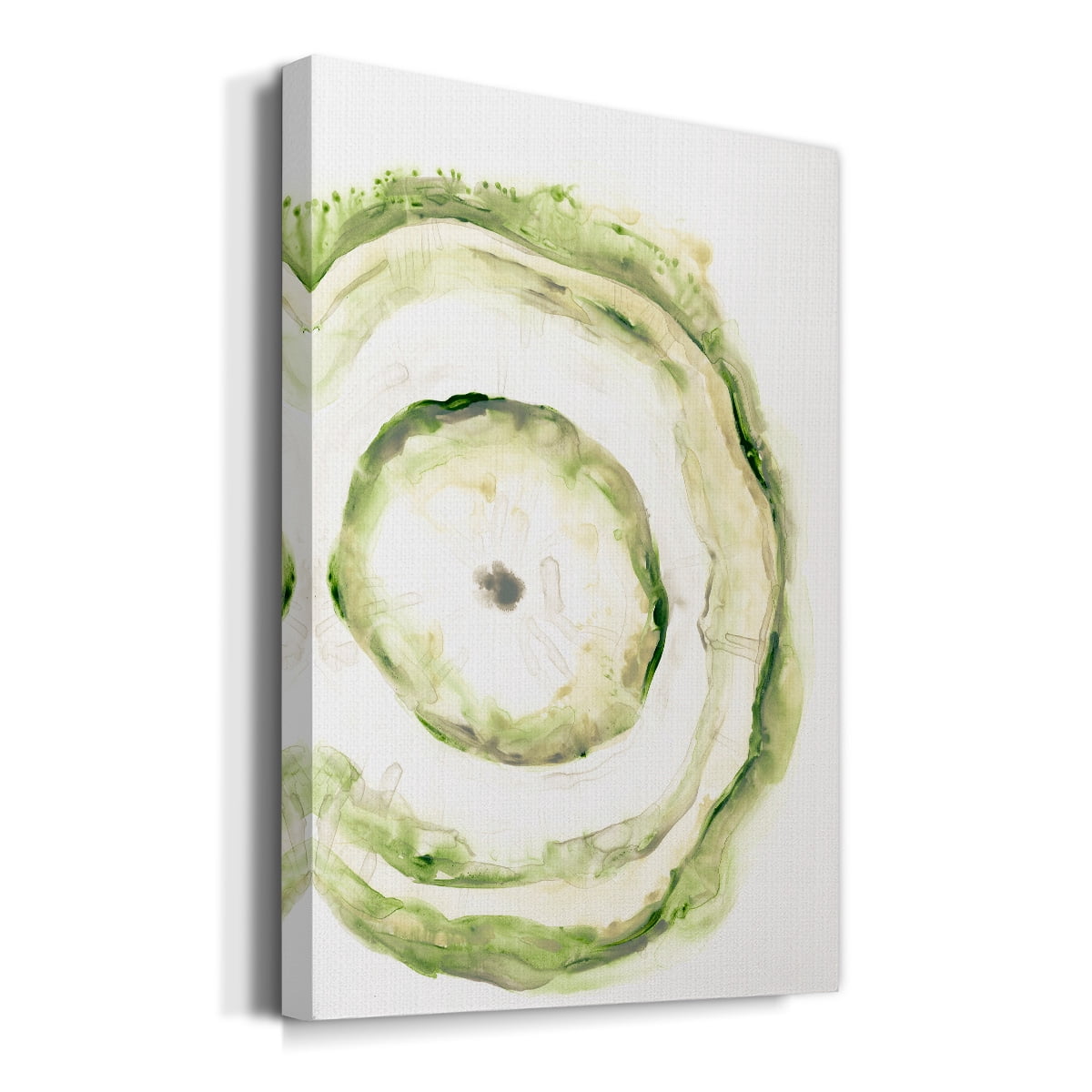 Lichen Halo III Premium Gallery Wrapped Canvas - Ready to Hang