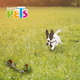 thumbnail image 2 of Juguete Hueso Fancy Pets Hilo Multicolor 20 CM, 2 of 2