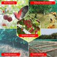 thumbnail image 3 of Grow Holder Net Garden Plants Climbing Net Plastic & Nylon, 3 of 5