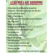 Aloe Vera Oil Organic Carrier Cold Pressed Premium Natural 100% Pure 2 oz