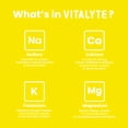 thumbnail image 4 of Vitalyte Lemon Electrolyte Packets Powder Mix, Isotonic Hydration, 25 Single Serving Stick Packet, 4 of 9
