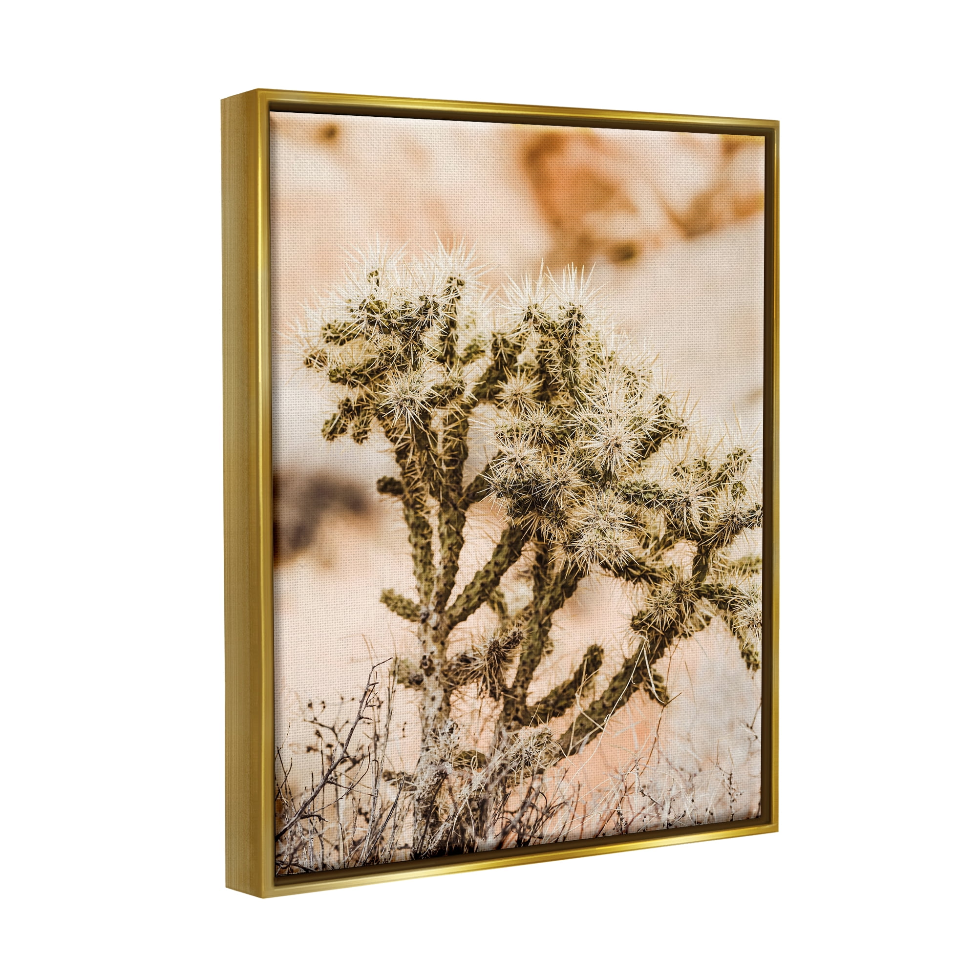 Stupell Arid Cactus Desert Plant Photography Landscape Photography Gold Floater Framed Art Print Wall Art