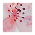 thumbnail image 4 of HAOXIT Outdoor Square Tablecloth , Pink Square Tablecloth, Summer Botanical Patio Table Cover Waterproof Table Cloth for Picnic/Party 36*36, 4 of 8