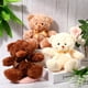 thumbnail image 4 of Peluche con forma de oso civaner de 20 cm, 9 paquetes para decoración, 4 of 7