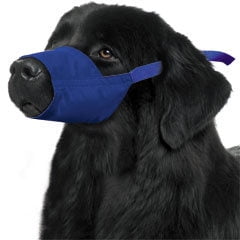 Four Flags Over Aspen Original Nylon Quick Dog Muzzle to Prevent Biting