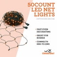 thumbnail image 3 of Indoor/Outdoor 50-Count LED Net Lights, Orange, 4' x 4', Halloween by Way To Celebrate, 3 of 7