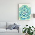 thumbnail image 3 of Trademark Fine Art 'Pastel Succulent IV' Canvas Art by Tim O'Toole, 3 of 3