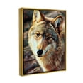 thumbnail image 3 of Stupell Wolf Gazing Wildlife Animal Portrait Animals & Insects Painting Gold Floater Framed Art Print Wall Art, 3 of 6
