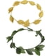 thumbnail image 1 of 2pcs de Hojas Laurel de Griega Romana Clásico Adorno de cabellero para Mujer Chica, 1 of 9