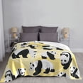 thumbnail image 6 of XMXT Flannel Throw Blanket for Couch, Cute Panda Pattern Bed Sofa Decor Blankets for Home Bedroom, 50 x 40 inches, 6 of 9
