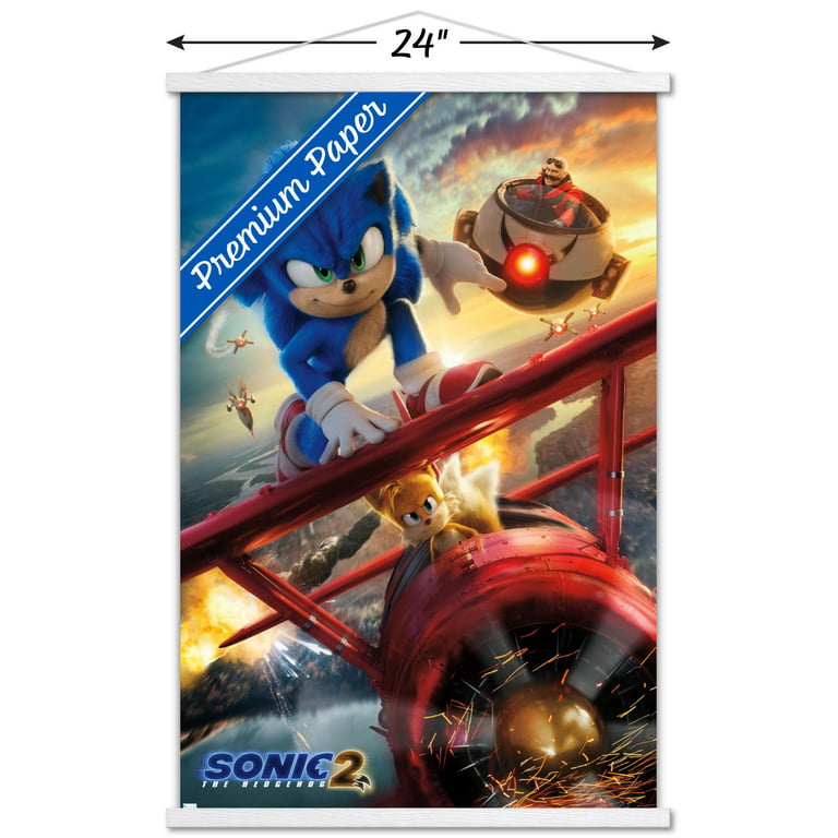 Sonic The Hedgehog Zooms By For CCXP Poster