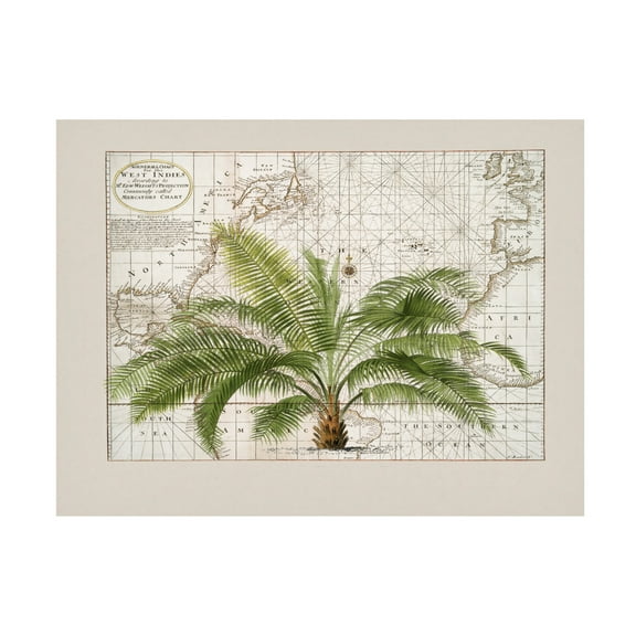 Trademark Fine Art Andrea Haase  Tropical Empire No1 Canvas Wall Art