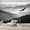 Color 1, variant on Wallpaper Eagle Shadow Misty Ridges Mountain Forest Peel and Stick Wall Murals 69"H x 96"W Removable PVC Wall Paper Self-Adhesive Wall Paintings Art Decor for Bedroom Living Room