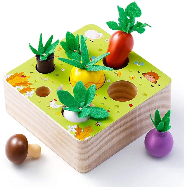 Jouets Éducatifs en Bois Rares, Jouets en Bois pour Bébés Garçons et Filles