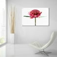 thumbnail image 6 of Epic Art 'Waratah Flower' by Elise Catterall, Acrylic Glass Wall Art, 36"x24", 6 of 8