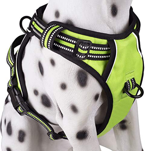 PoyPet No Pull Dog Harness Mint Blue,S Reflective Comfortable Vest Harness with Front & Back 2 Leash Attachments and Easy Control Handle Adjustable Soft Padded Pet Vest for Small to Large Dogs 
