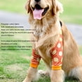 thumbnail image 3 of Dog Elbow Brace, Soft Padded Recovery Sleeve For Front Legs, Breathable And Comfortable, Joint , Pain Reduction, 3 of 8