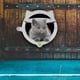 thumbnail image 5 of Puerta para gatos con cerradura Puerta para gatos para puertas interiores y exteriores Solapa inter Tomshoo Puerta del gato, 5 of 7
