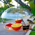 thumbnail image 2 of Oriole Bird Feeder, 3 Types Food, Orange Halves Fruit, Drinking Nectar and Grape Jelly Hummingbird Feeders, Outdoor Metal Hanging Adjustable Dome Proof Squirrel and Larger Birds Baffle, 2 of 7