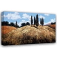 thumbnail image 1 of Martin Pryce 24x17 Gallery Wrapped Canvas Wall Art Titled - Sentinels, 1 of 4