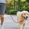 thumbnail image 6 of Heavy-Duty Dog Training Leash for Walking, Training and Outdoor Pet Handling, 6 of 6