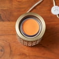 thumbnail image 4 of Yankee Candle Warm Luxe Cashmere Scenterpiece Easy MeltCup (Pack of 4), 4 of 6