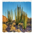 thumbnail image 3 of Ambesonne Landscape Shower Curtain, Mountain Cactus Photo, 69"Wx84"L, Multicolor, 3 of 5