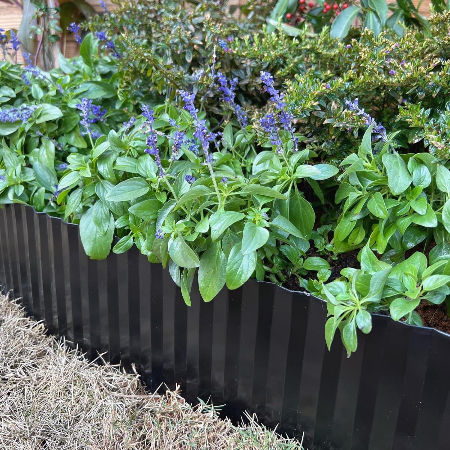 Tramull Corrugated Garden Edging Border,10" x 60' Landscape Paver Edging, Tall Landscape Edging, Fence for Garden, Flower Bed, Lawn and Landscape Edging (Black)