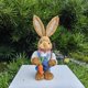 thumbnail image 5 of Easter Bunny Decor Easter Straw Bunny Figurine, 14" Easter Straw Bunny Figurine Tabletop Decor, Sisal Rabbit Couple Statue with Carrots&Eggs, Spring Decorations for Home Farm (D), 5 of 5