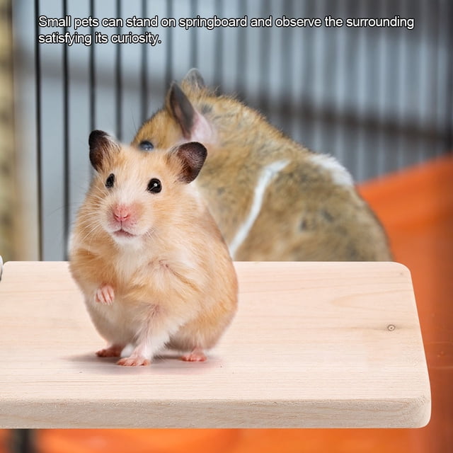 Trampolín De Madera Natural, Juguete De Escalada Para Mascotas Pequeñas Con Plataforma De Observación Para Ardilla Hámster