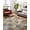Lagoon / Spice, variant on Spectrum Geometric Silver / Fiesta Area Rug