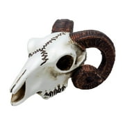 The Vault Rams Skull Miniature - 1.5"L X 3.34"W X 7.44"H