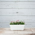 thumbnail image 7 of Root & Vessel Countryside Flower Box, White, 18", 7 of 7