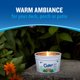 thumbnail image 2 of Cera de soja para exteriores Candle Cutter con aceite de citronela, 325 ml, 2 of 7