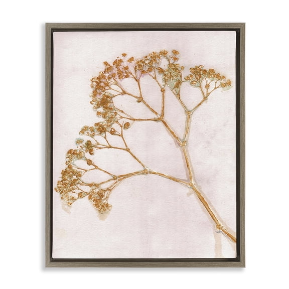 Stupell Industries Bohemian Cottage Botanical Branches Brown Floating Frame Canvas Art, 17 x 21, by Pernille Folcarelli
