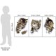 thumbnail image 4 of Pegatinas de pared de gato 3D, 3 unidades de pegatinas de pared, pegatinas de pared de combinación, pegatinas de baño, pegatinas impermeables para nevera, pegatinas de puerta, decoración de pared de c Afortunado Sencillez, 4 of 5